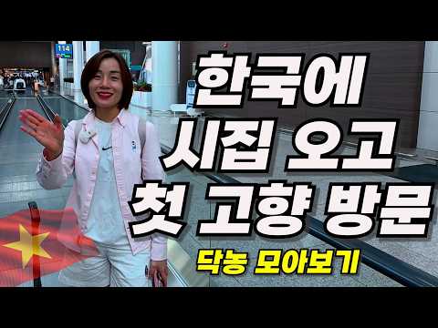 베트남 아내 한국에 시집오고 첫 고향 방문 모아보기
