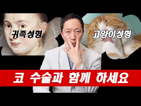 코수술과 함께 하면 시너지가 나는 성형 5분만에 완벽설명 ㅣ#귀족성형 #고양이성형 #코성형