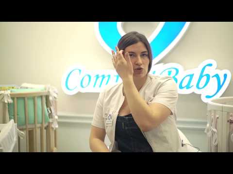 "A New Baby Appears in the House. Basic Knowledge" (Part One)