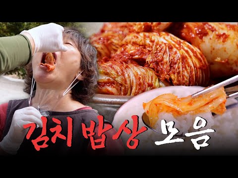 잘 익은 김치만 있다면 밥 한 공기 뚝딱! 지역마다 색다른 김치 밥상 모음집 Korean Food｜팔도밥상🍚 KBS 방송