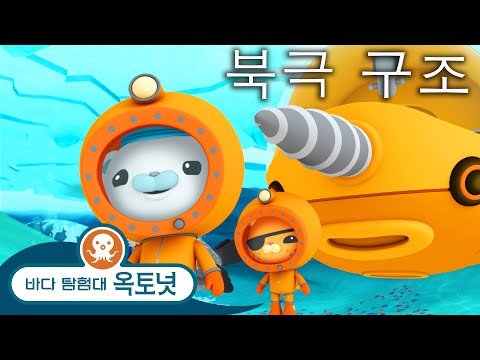 바다 탐험대 옥토넛 - 🐻‍❄️ 북극 구조 ⛑️ - 편집 - 모음집