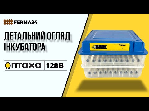 Інкубатор ПТАХА 128-В. Детальний огляд