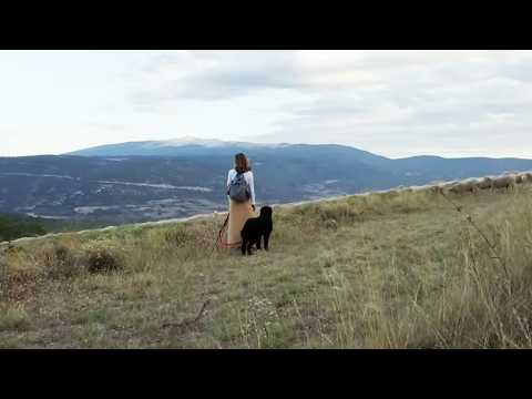 來自六千年前的古老職業，他們厭倦城市生活，到荒野感受孤獨人生