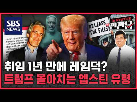 취임 1년 만에 레임덕?…트럼프 흔드는 엡스틴 유령 / SBS / 깐깐남in뉴욕