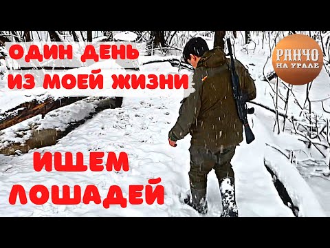 Как проходит мой день?Весь день искали наших лошадей/Один день из жизни Фермера