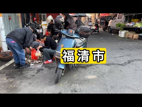 探访福建省福清市龙江街道东南村 村里林姓居多 漂亮的楼房 新房楼盘7400元/㎡ 大榕树下的菜市场 Explore Village In Fuqing City Of China.