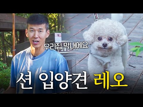 혜영이의 사랑을 독차지하는 막내 녀석... (입양 계기, 첫만남 썰)