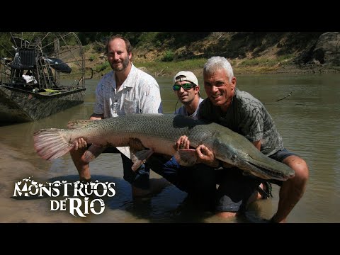 El Pejelagarto: Un Monstruo de Río con la Reputación del Diablo | T1 E02 | Monstruos de Río