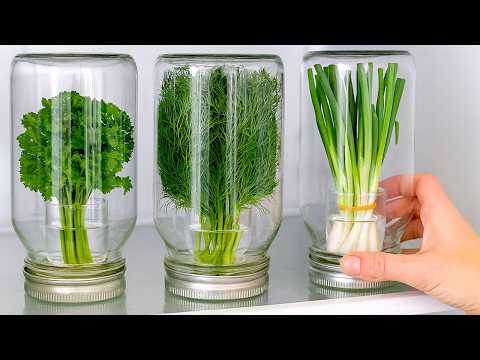 Stop freezing your herbs! Chef’s secret to fresh green onion, parsley, herbs for months