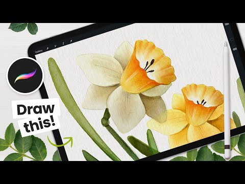 How To Draw Daffodils + Mothers Day Card • Procreate Tutorial