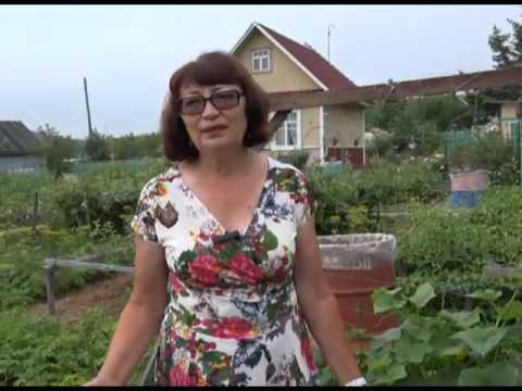 Зеленый сад фильм № 211" Сланцевая форма" от 13.08.2016г. г.Хабаровск (zeleniisad.ru)