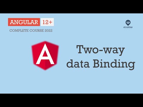 Two way data binding | Data Binding | Angular 12+