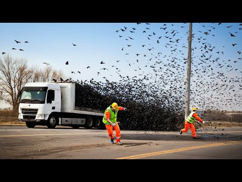 Most Ridiculous Worker Mistakes Caught on Camera