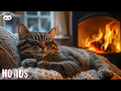 Music Sleep For Cat 🐈 Anxiety Relief Music For Cats And Soothe Your Cat With Our Relaxation Music 🔥