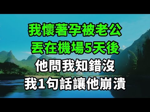 我懷著孕被老公，丟在機場5天後，他問我知錯沒，我1句話讓他崩潰【風鈴故事集】#完結故事#情感故事#爽文#婆媳關系#家庭生活#故事頻道#故事分享#情感#正能量#流量