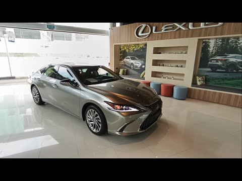Lexus ES 300h Luxury HEV 2.5 eCVT Sonic Titanium (XZ10) walkaround (Brunei)