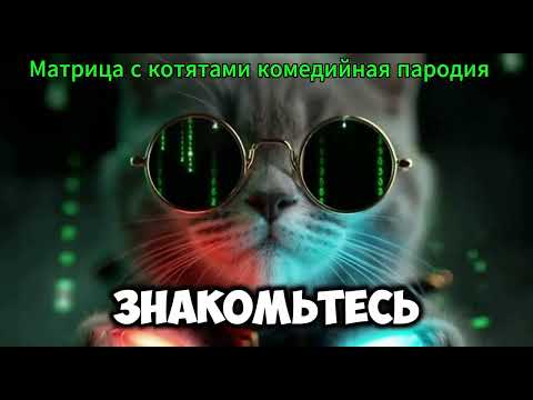 Матрица с котятами — PurrTrix Самый пушистый трейлер пародия #Матрица #Котята