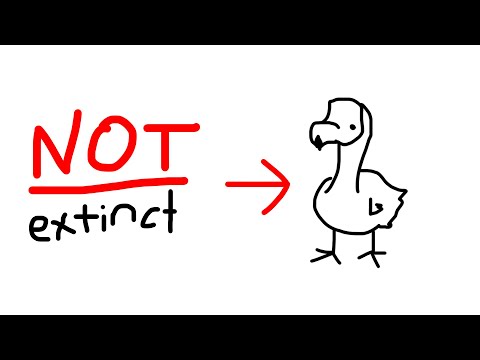 These Animals Should NOT Be Extinct