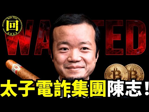 2025年陳志太子集團為何如此囂張?背後保護傘是誰?他如何完美洗钱?黑金帝国崩塌背後的真實暴行曝光,感受真實電詐地獄,他如何虐待勞工。| 回頭是案