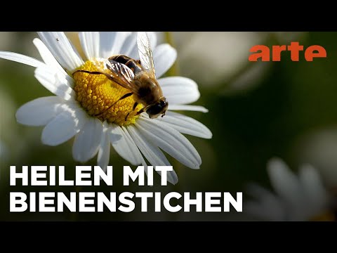 Rumänien: Heilsame Bienen | Medizin in fernen Ländern Reupload | ARTE Fernweh