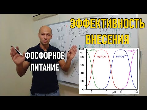 Стратегия применения фосфорных удобрений