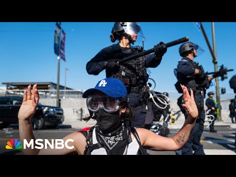 L.A. protests 'not an insurrection': Democracy Docket founder on demonstrations