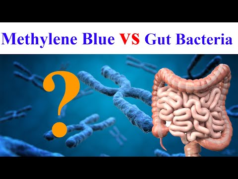 Discover How Methylene Blue Impacts Your Microbiome