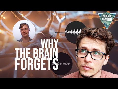 Why do we forget? The neuroscience of memory