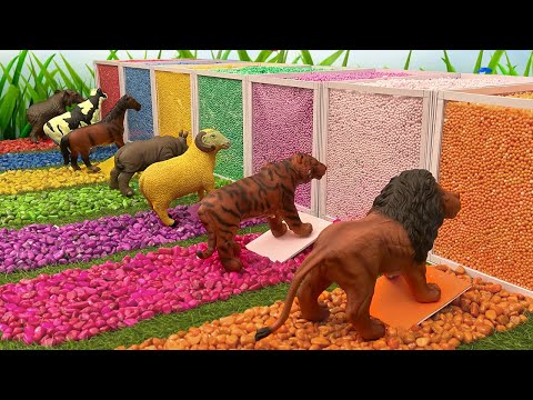 Aprende los Nombres y Sonidos los Animales con Colores León Tigre Oveja Rinoceronte Caballo Elefante