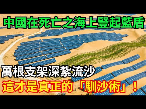 中國在死亡之海上豎起藍色盾牌；萬根支架深紮流沙；這才是真正的「馴沙術」！#死亡之海 #中國 #生態屏障 #光伏治沙 #沙漠治理