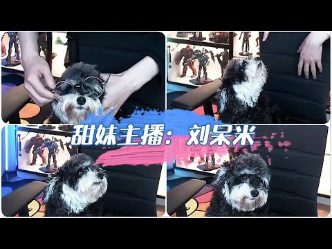 【刘宇宁】甜妹主播刘呆米