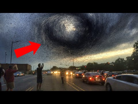 The Most Terrifying Things Nature Has Ever Done