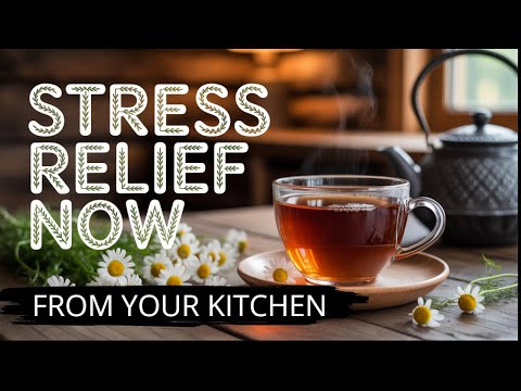 Your Brain on Constant Stress | What Happens?