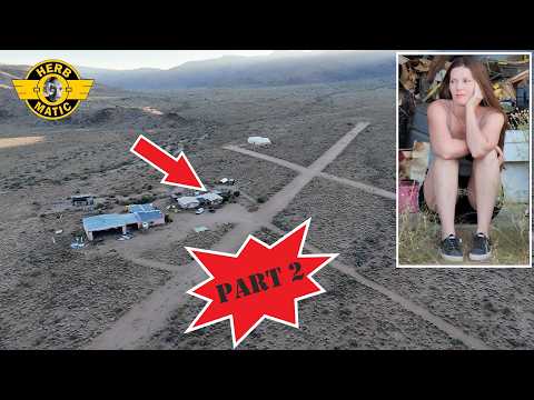 Tearing Up the Carpet Cause it Didn't Match the Drapes Pt 2 | Off-Grid Airport Restoration