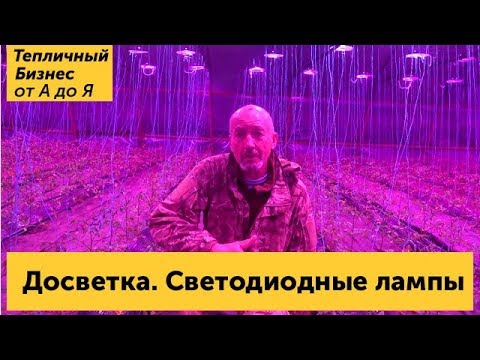 Досветка растений на примере томатов. Светодиодные фитолампы для подсвтетки рассады и растений