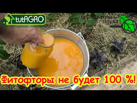 ОРАНЖЕВЫЙ РАСТВОР - СУПЕР СРЕДСТВО ОТ ВСЕХ БОЛЕЗНЕЙ И ВРЕДИТЕЛЕЙ! Испытайте мощь ПРИРОДНОГО СРЕДСТВА