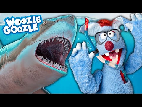 Sind Haie böse? l WOOZLE GOOZLE