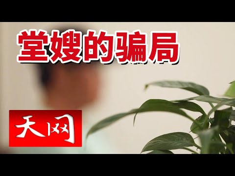 《天网》男子网恋奔现 直到婚礼现场才发现对象竟是堂嫂！20240522