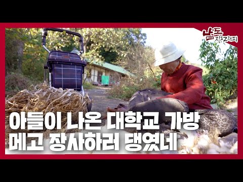 아들이 나온 고려대 가방 메고 장사하러 댕였네 [남도지오그래피｜241113]