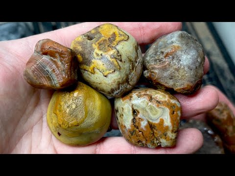 Pretty Agates & mystery rocks cut open on saw!