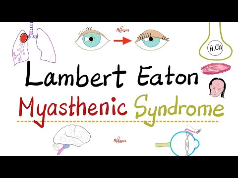 Lambert Eaton Myasthenic Syndrome (LEMS) - Muscle weakness - Causes, Symptoms, Diagnosis, Treatment