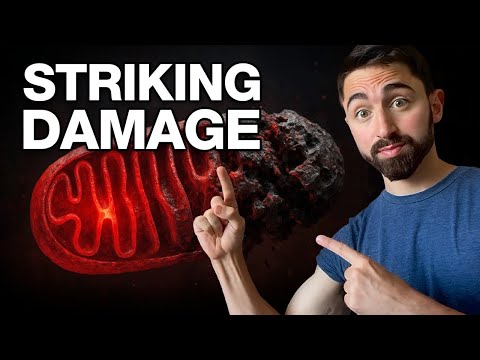 I Tried Statins — Here’s What Happened | Dr Nick Norwitz MD PhD