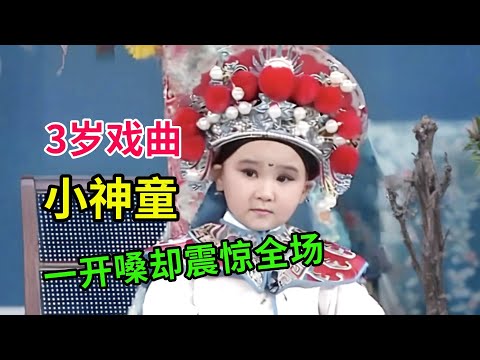 3岁戏曲小神童,站都站不稳,一开嗓却震惊全场,老旦花旦都能演绎!