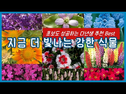 Get ready in advance 🌿 Varieties you can only find now ✨ Garden experts reveal the representative...