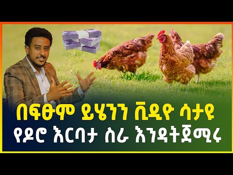በፍፁም ይሄንን ቪዲዮ ሳታዩ የዶሮ እርባታ ስራ እንዳትጀሚሩ ! ከነ-ሙሉ ስልጠና | Chicken farming | business idea| gebeya media
