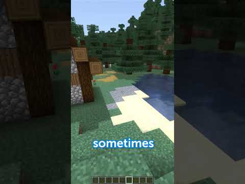 Strangest Minecraft Glitch Ever #minecraft