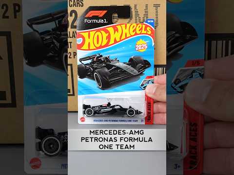 Winner of 2025 Hot Wheels J Case