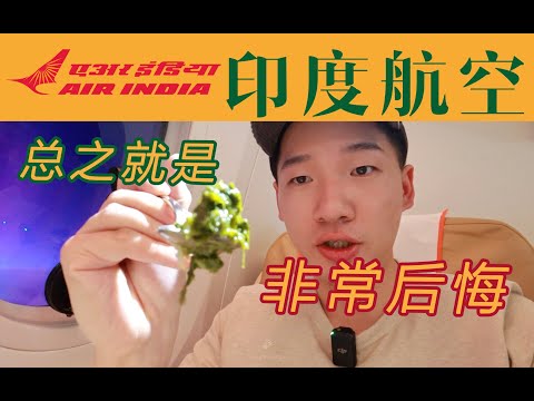 干净又卫生？印度飞机餐长什么样 印度航空商务舱8小时全体验 B787德里-法兰克福【FBC航班体验】