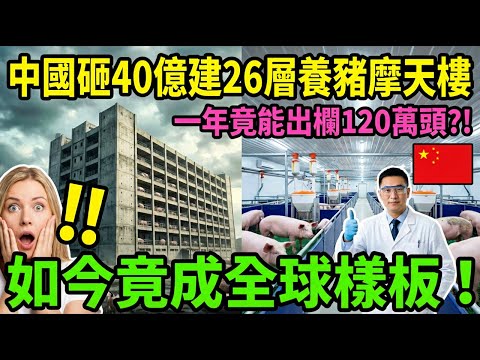 中國砸40億建26層養豬摩天樓，年出欄120萬頭，如今竟成全球樣板！