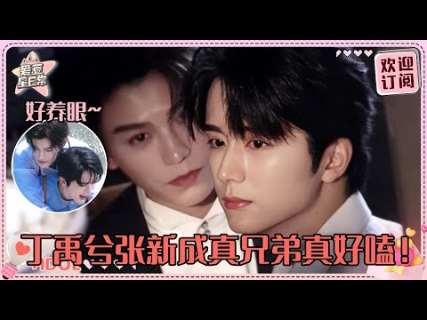 丁禹兮张新成你们俩肯定没喝中药   两个演技狂魔搭戏就是酣畅淋漓！这个新有灵兮真的有点好嗑啊啊！#丁禹兮 #张新成 #姜珮瑶 #南部档案 #盐焗虾 #新有灵兮 #爱豆星日常